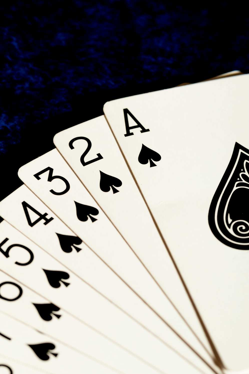https://jammyjackcasino.org/ https://jammyjackcasino.org/